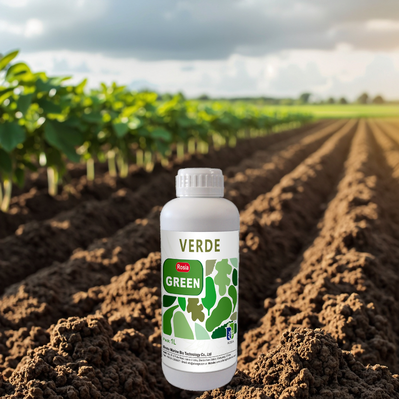 Potassium Fertilizer Manufacturer - Green Leaves Grow Foliar Spray Liquid Improves Plant Yield