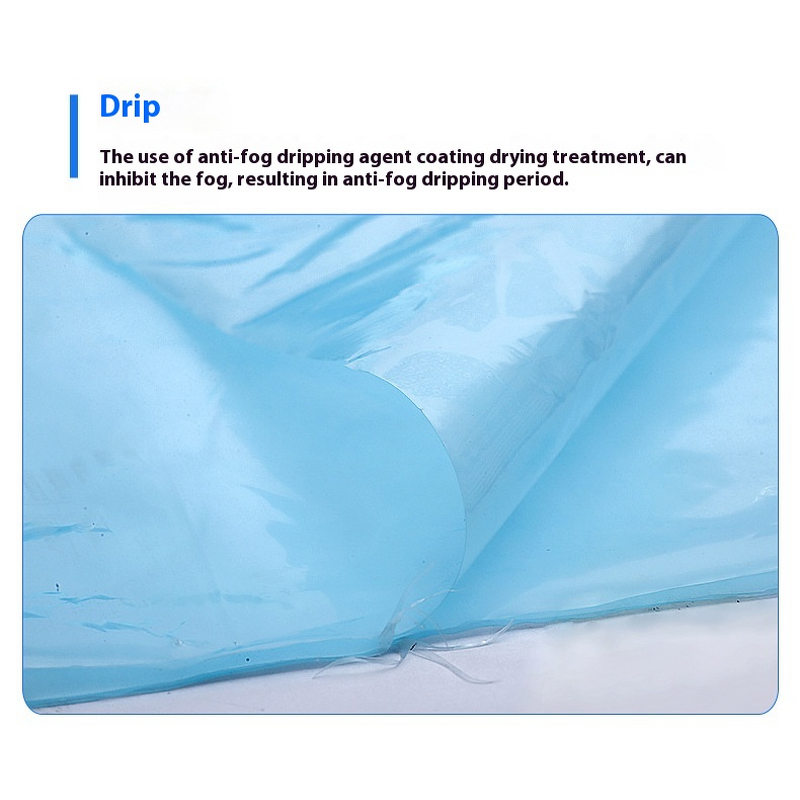 Greenhouse Plastic Film Manufacturer - Wholesale Large Agricultural Transparent PO Single Drip-Free