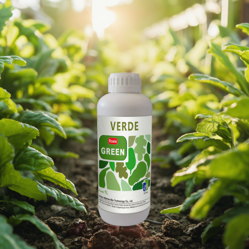 Potassium Fertilizer Manufacturer - Green Leaves Grow Foliar Spray Liquid Improves Plant Yield