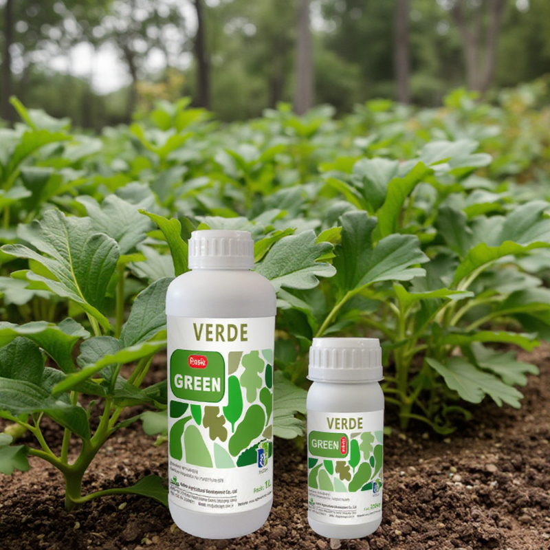 Green Leaves Fertilizer Manufacturer - ROSIA for Dark Green Amino Acid Chelated Trace Elements for Fruit