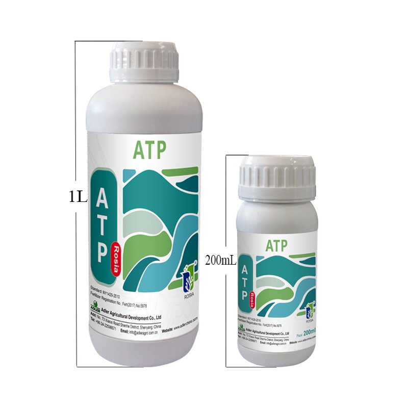 Amino Acid Fertilizer Manufacturer - ROSIA Preserve Fruits Coloring Organic Foliar Liquid