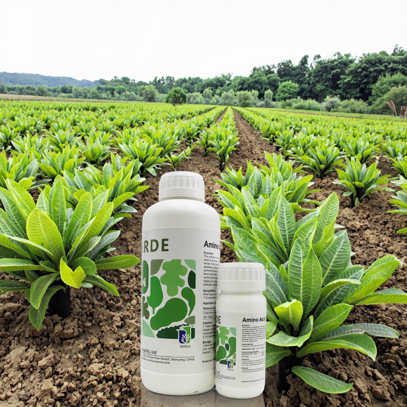 Amino Acid Fertilizer Manufacturer - ROSIA Free Kelp Foliar Spray Organic Plant Liquid