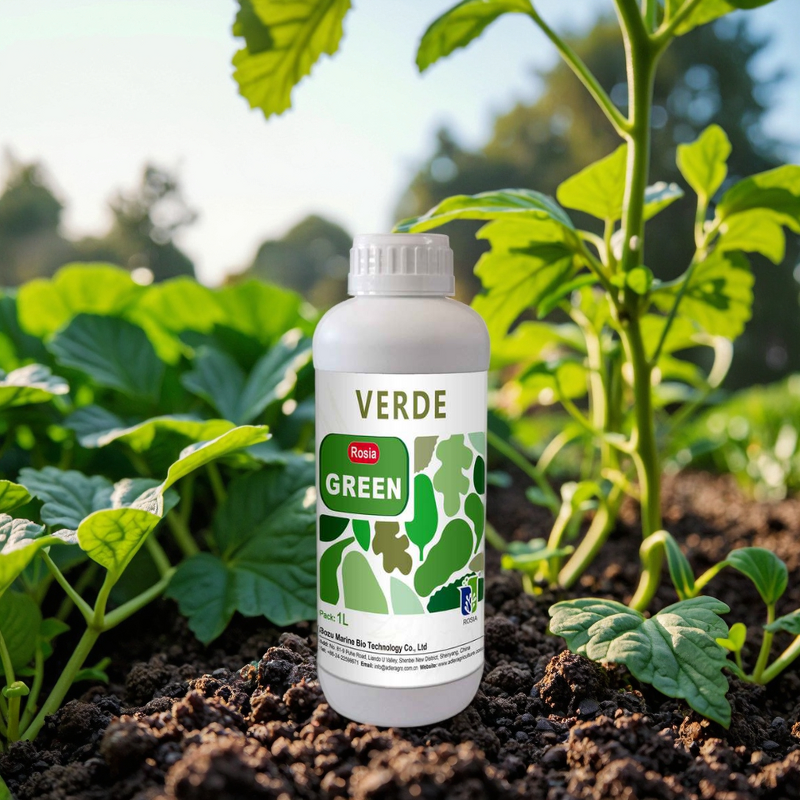 Amino Acid Fertilizer Manufacturer - ROSIA Free Kelp Foliar Spray Organic Plant Liquid