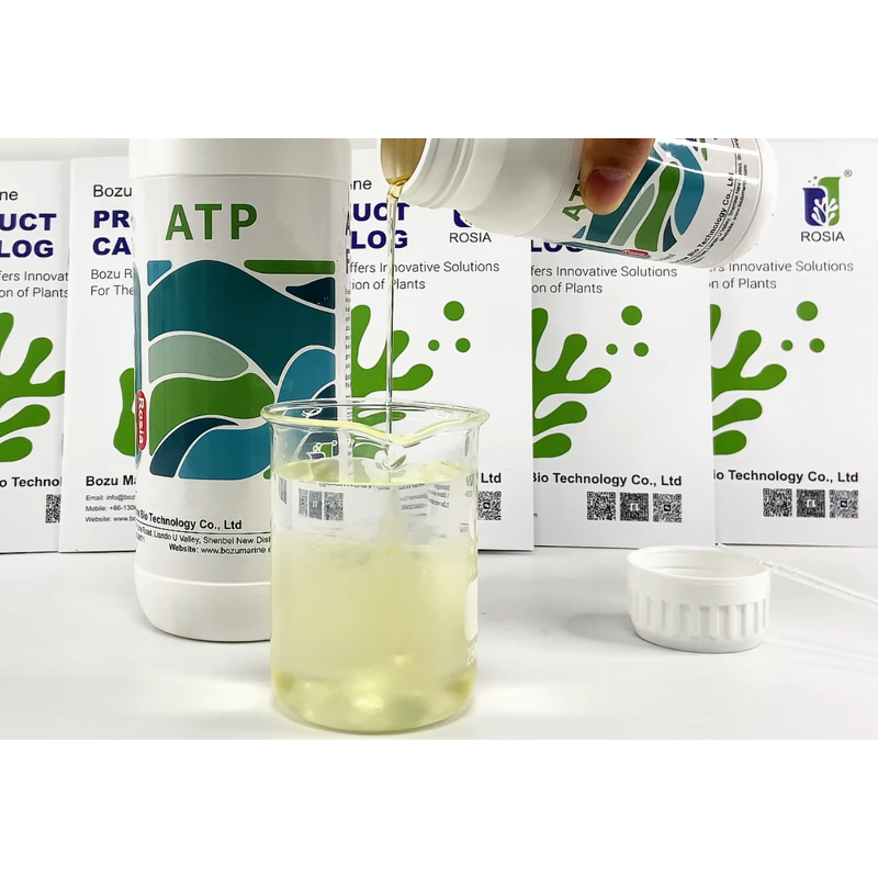 Amino Acid Fertilizer Manufacturer - Water-soluble Trace Element Universal for Vegetables Fruits