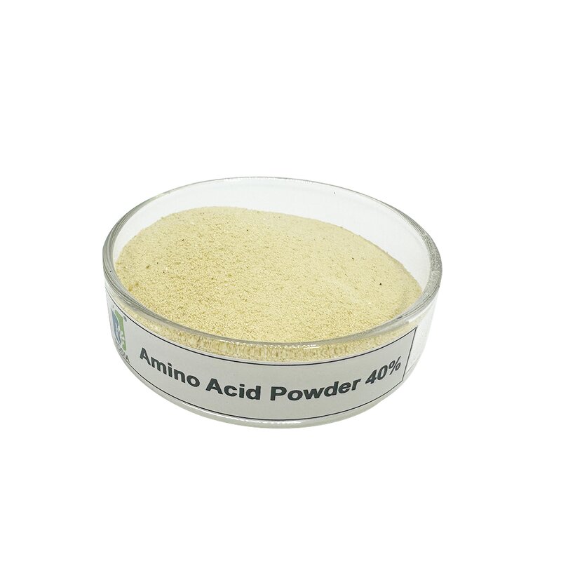 Amino Acid Powder Fertilizer Manufacturer - High Content 30-80% Soluble for Flower Fruit Development
