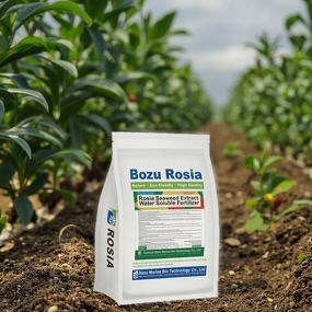 Seaweed Extract Fertilizer Manufacturer - Alginate Rapid Root Growth Water-soluble Transplanting