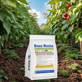 Amino Acid Fertilizer Manufacturer - High-purity Foliar Organic for Vegetable Fruit Tree