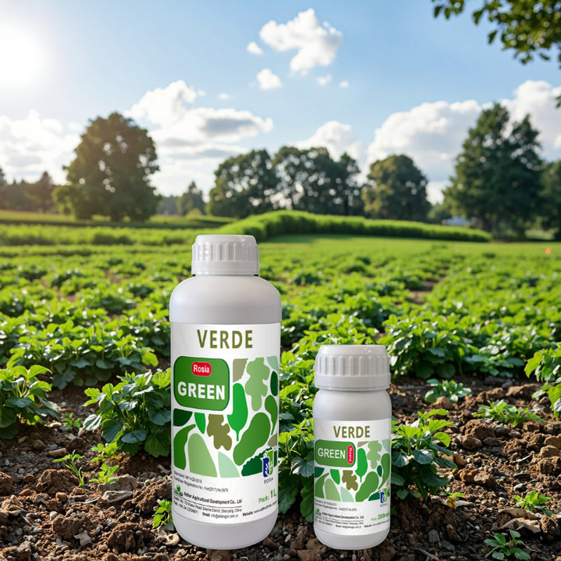 Green Leaves Fertilizer Manufacturer - ROSIA Indoor Plant Amino Acid Organic 100% Purity