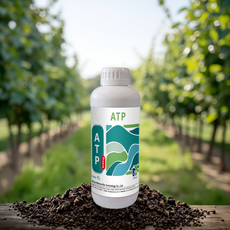 Amino Acid Fertilizer Manufacturer - Water-soluble Trace Element Universal for Vegetables Fruits