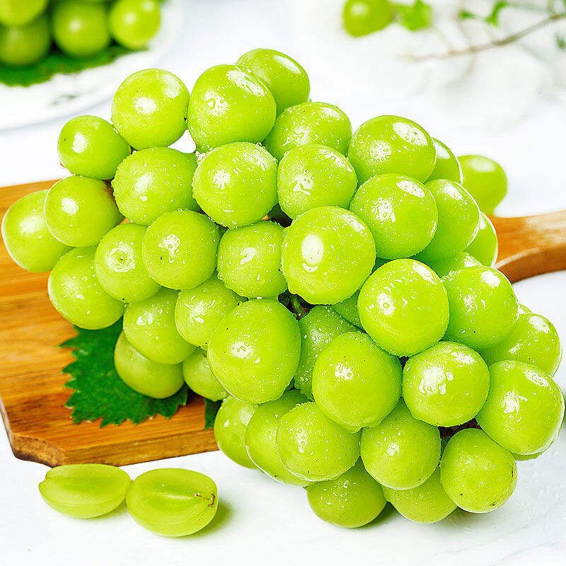 Amino Acid Fertilizer Manufacturer - ROSIA Preserve Fruits Coloring Organic Foliar Liquid