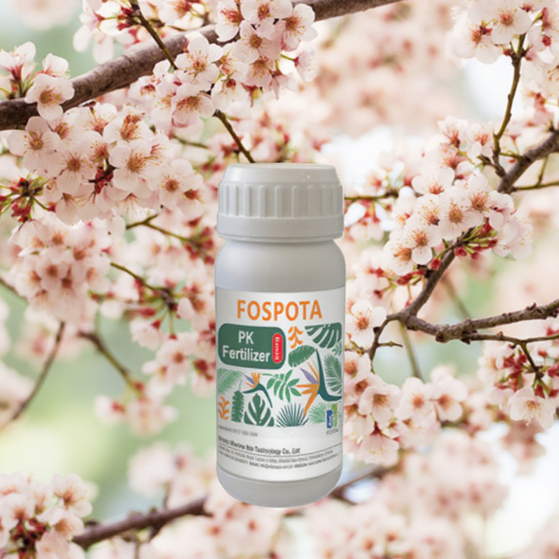 Water Soluble Fertilizer Manufacturer - High Phosphorus Potassium with Trace Elements for Fruit Trees Vegetables