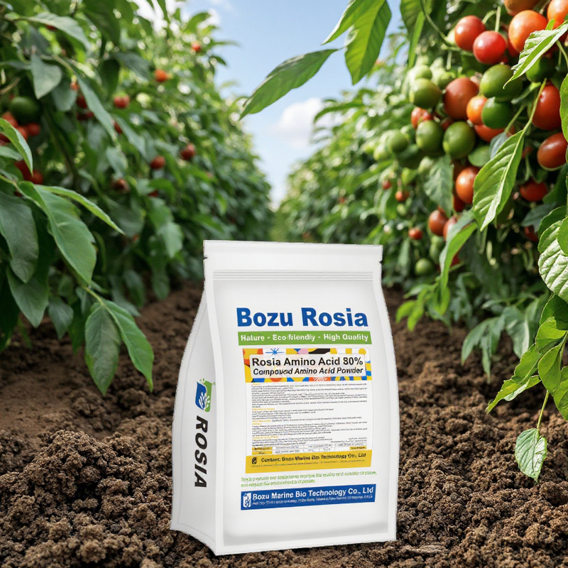 Amino Acid Powder Fertilizer Manufacturer - Organic Water-Soluble Supplement Liquid for Plant Health