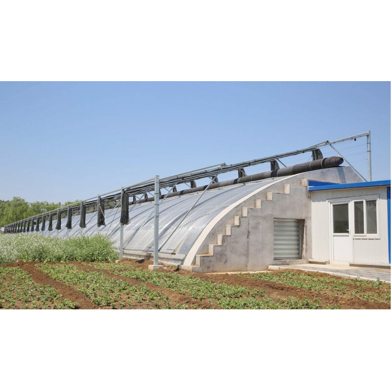 Greenhouse PE Film Manufacturer - Custom PO Large Single Layer UV 200-250 Microns Square Pattern