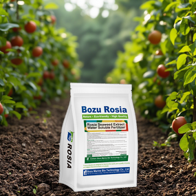 Seaweed Fertilizer Powder Manufacturer - Long-release Organic Rapid Rooting