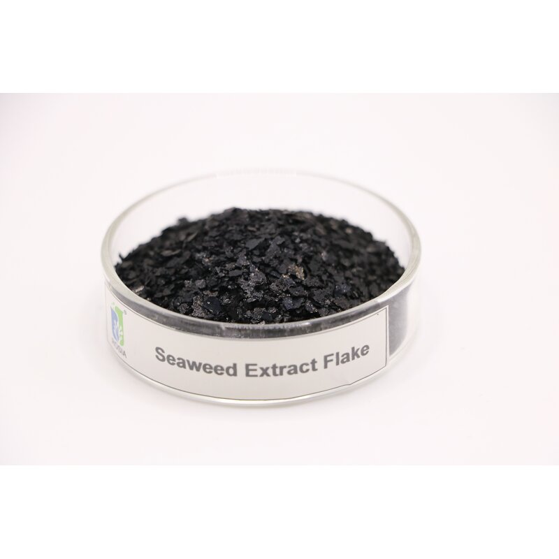 Seaweed Fertilizer Powder Manufacturer - Long-release Organic Rapid Rooting