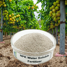 Liquid Fertilizer Manufacturer - General Agricultural Rich in Macronutrients Amino Acids Humic Seaweed