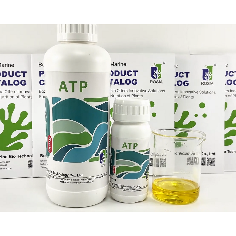 Amino Acid Fertilizer Manufacturer - Water-soluble Trace Element Universal for Vegetables Fruits