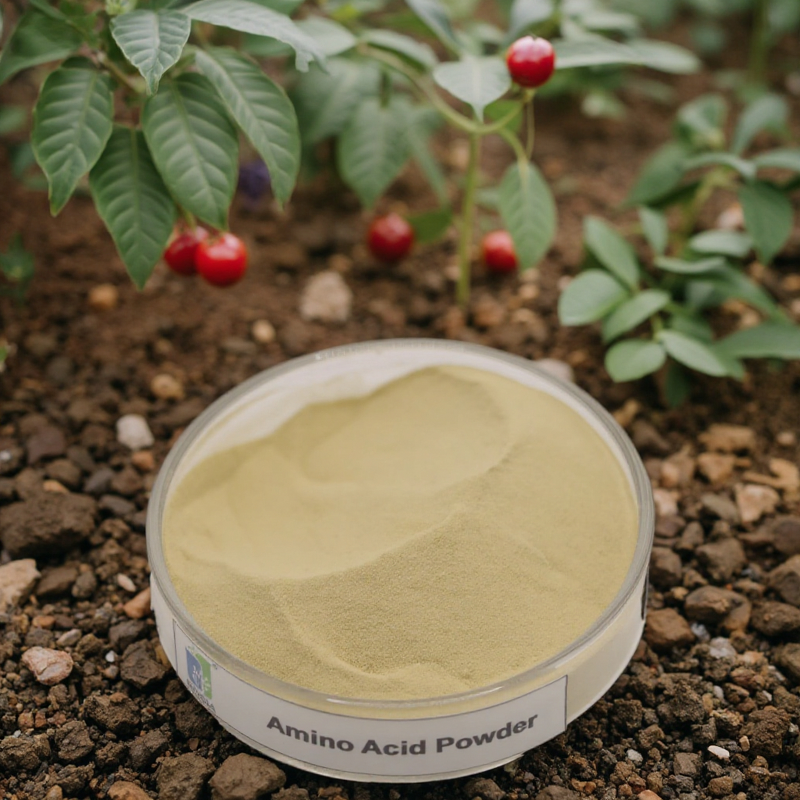 Amino Acid Powder Manufacturer - Organic Plant-derived Enzyme 80% Raw Material Fertilizer