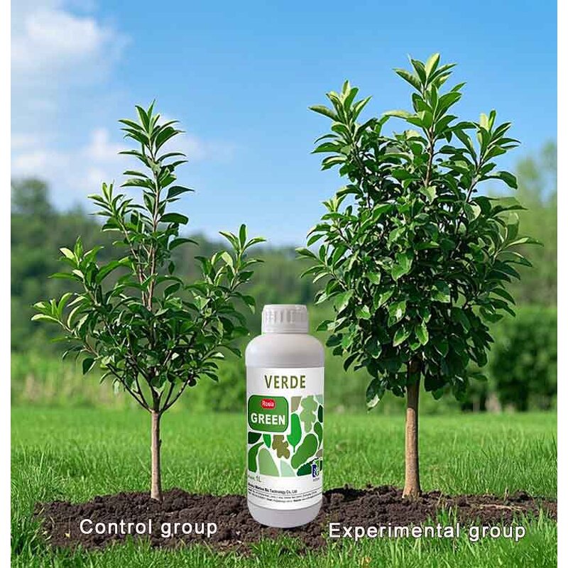 Green Leaves Fertilizer Manufacturer - Organic Natural Grass Improves Crop Quality