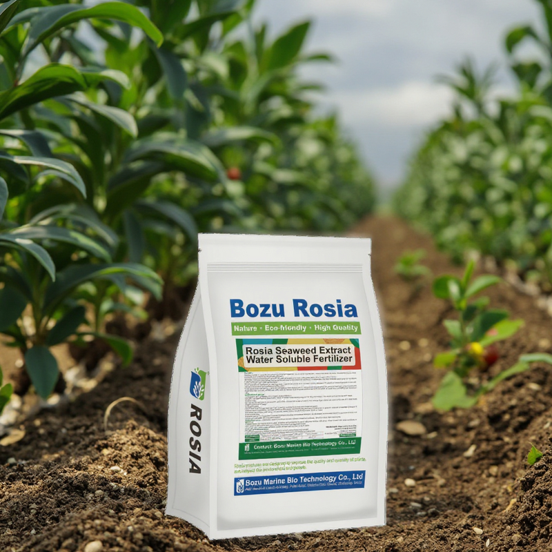 Seaweed Fertilizer Powder Manufacturer - Long-release Organic Rapid Rooting