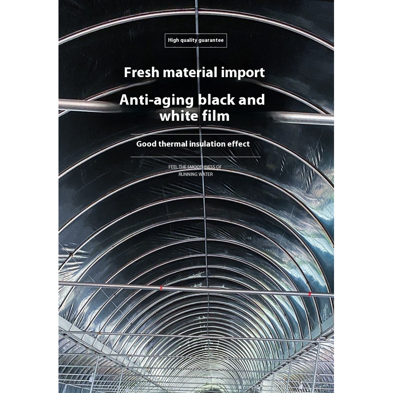 Greenhouse Plastic Film Manufacturer - Large Anti-Aging Transparent Fogging Flow Drip Single Layer for Plants