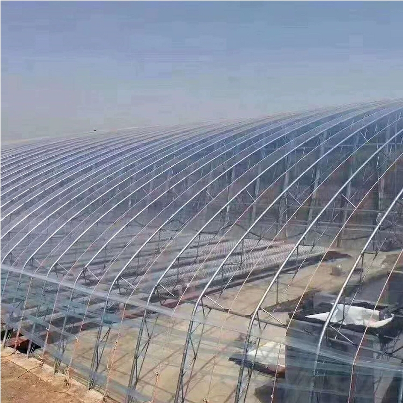 Greenhouse Plastic Cloth Manufacturer - Large Transparent PE PO Agricultural Single Layer Fogging Flow Drip