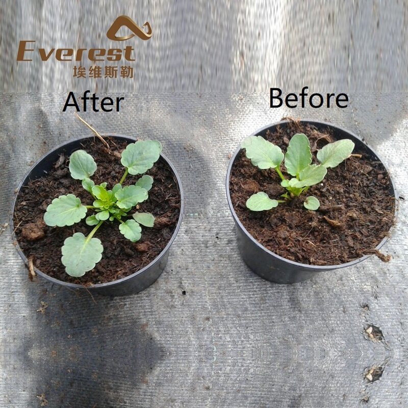 Fulvic Acid Fertilizer - Everest 60%-98% 100% Water Soluble Drip Irrigation Grade