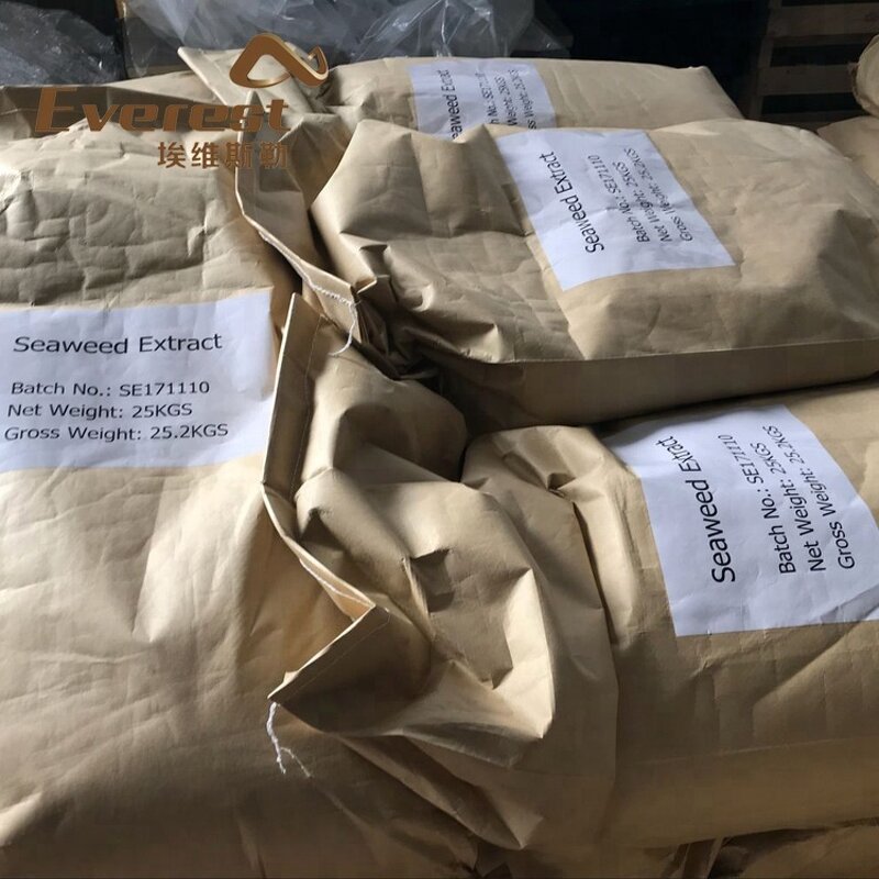 Seaweed Extract Powder Flake - Everest Water Soluble Ascophyllum Sargassum Laminaria