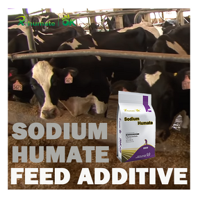 Sodium Humate Powder - X-HUMATE 85% Feed Additive Agriculture Grade