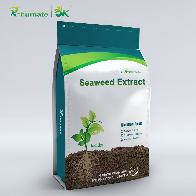 Seaweed Granule Fertilizer - X-humate Factory Price for All Kinds Crops