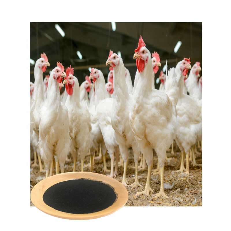 Sodium Humate Powder - 85% Soluble Organic Fertilizer Agriculture Grade