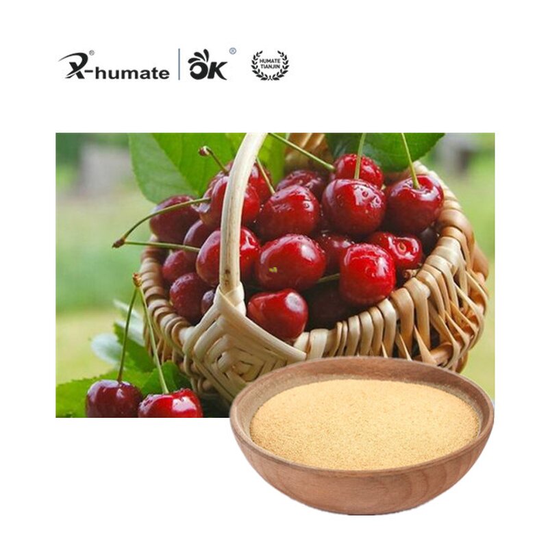 Compound Amino Acid Powder - Organic Nitrogen Fertilizer Agriculture Grade