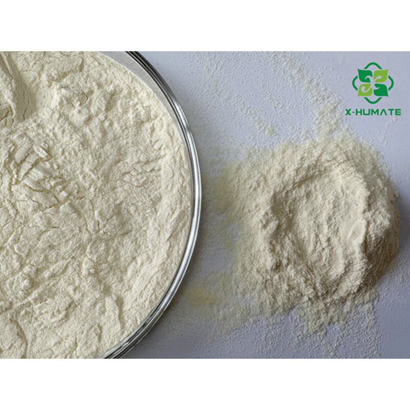 Amino Acid Powder - 80% Soyabean Plant Source 100% Soluble Organic Fertilizer