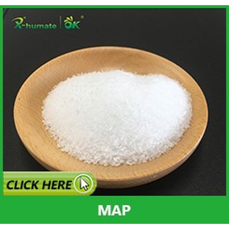 MAP Fertilizer - X-HUMATE 12-61-0 Monoammonium Phosphate Agricultures