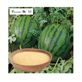 Compound Amino Acid Powder - 80% High Purity Organic Nitrogen Fertilizer