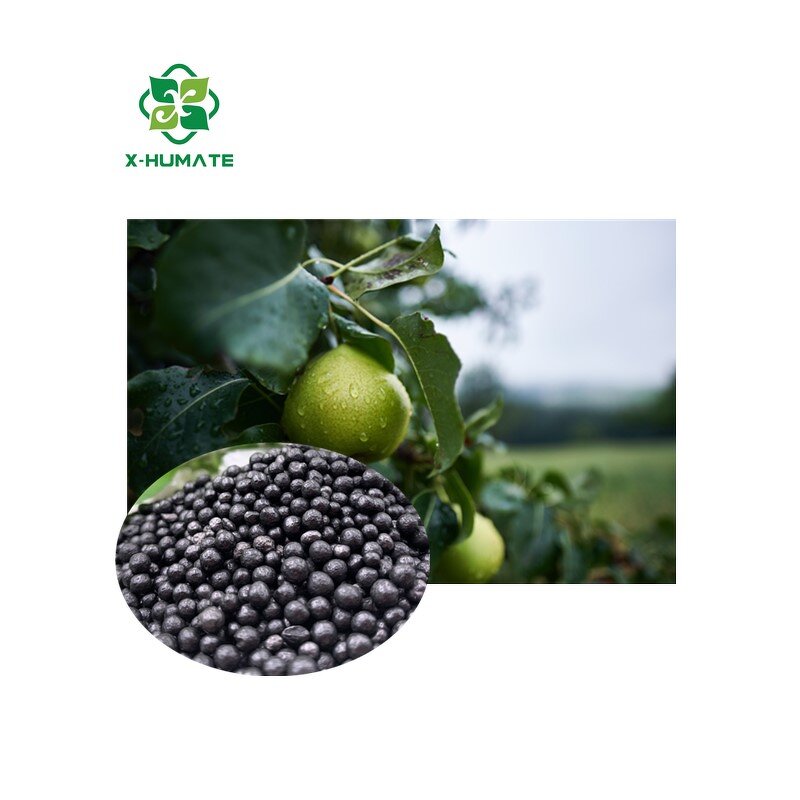 Humic Acid Granule - X-humate 45%min High Quality Black Organic Fertilizer