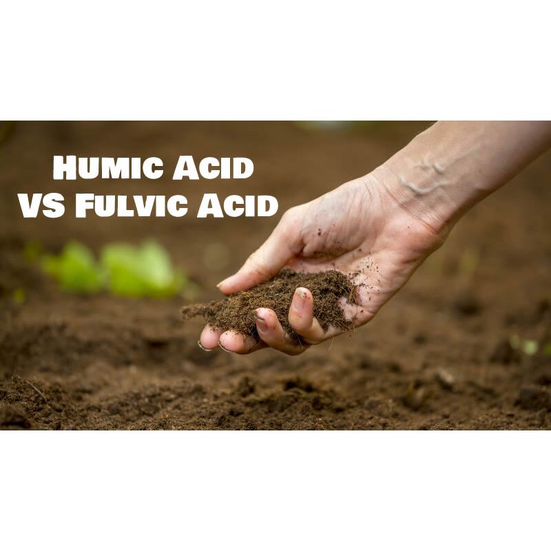 Fulvic Acid Powder - 90% 100% Water Soluble Humic Acid Organic Grade