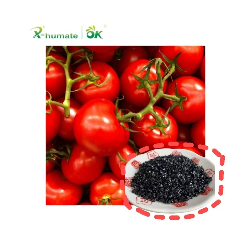 Potassium Fulvic Acid Granular - X-humate Soil Conditioner PH 6-8 Organic