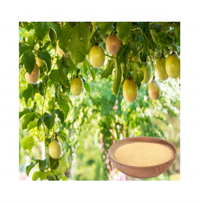 Amino Acid Fertilizer - Organic Supplement Horticulture Agriculture Plant Growth