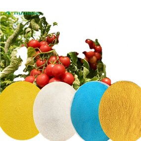 EDTA Chelated Fertilizer - X-humate Ca Cu Mn Fe Zn Mg Products Grade