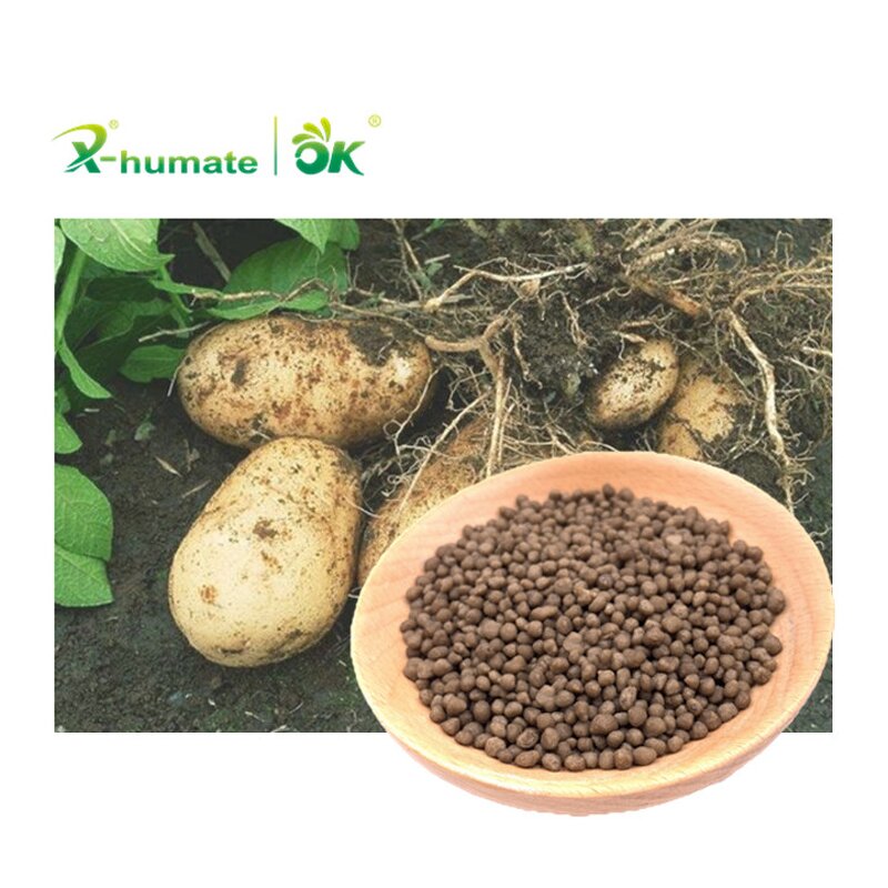 DAP Fertilizer - High Quality Diammonium Phosphate Agriculture Grade