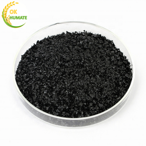 Potassium Humate Flake - 60-70% Shiny 100% Water Soluble Low Price