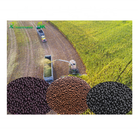 Humic Amino NPK Fertilizer - X-humate Granular Shiny Ball Soluble Organic