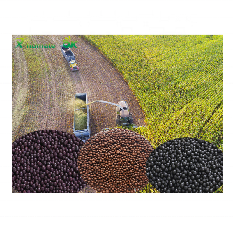 Humic Amino NPK Fertilizer - X-humate Granular Shiny Ball Soluble Organic