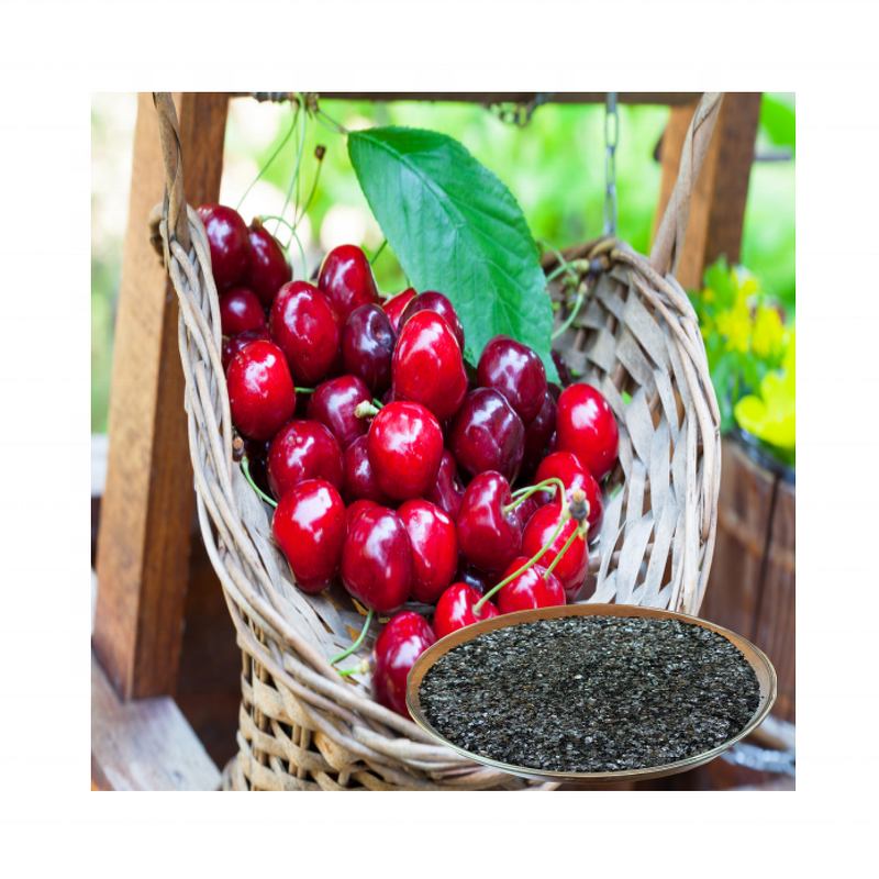 Potassium Humate Fertilizer - Organic Agriculture Humic Acids Soil Conditioner