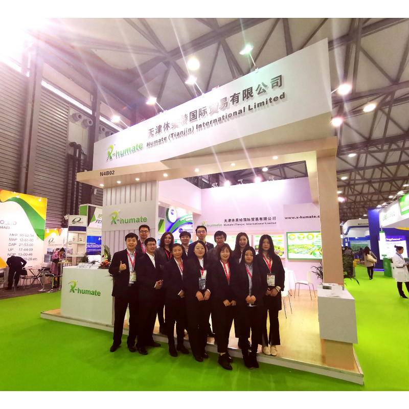 Potash Alum Powder - X-humate 99.2%min Aluminium Potassium Sulphate Lump