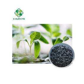 Potassium Fulvate Fertilizer - X-humate Agriculture Organic Soil Conditioner