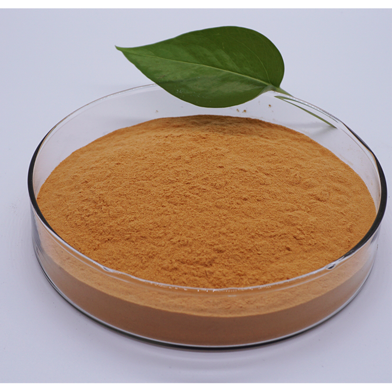 Chitosan Oligosaccharide Powder - Agriculture Use Plant Growth Fertilizer