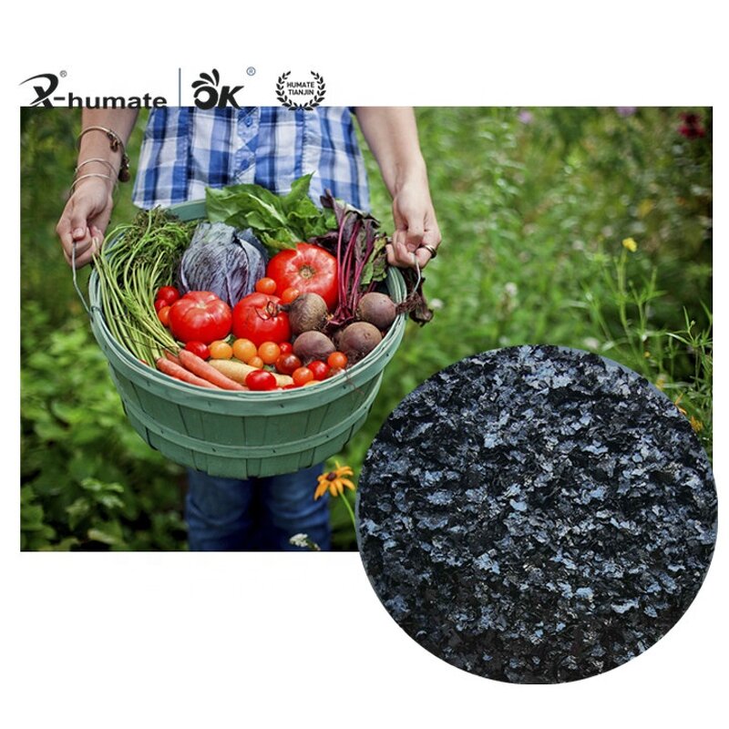 Potassium Humate Fulvate - Super Shiny Flake Powder Premium Organic Fertilizer
