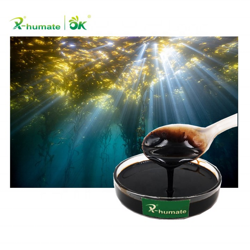 Seaweed Liquid Fertilizer - Organic Plant Nutrition Used for All Crops